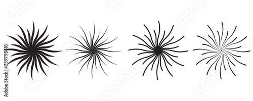 Sunburst, starburst shape on white. Radiating, radial, merging lines. Abstract circular geometric shape. eps10