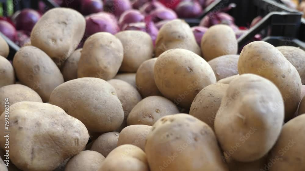 Potatoes: From Soil to Table, a Versatile Staple Potatoes: From Soil to Table, a Versatile Staple