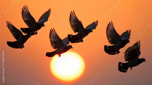 The silhouette of flying pigeons against the setting sun, as they gracefully dance in midair. --chaos 50 --ar 16:9 --stylize 250 --v 6.0