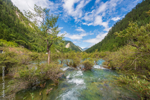 Bonsai beach waterfall in Jiuzhaigou  Sichuan  China