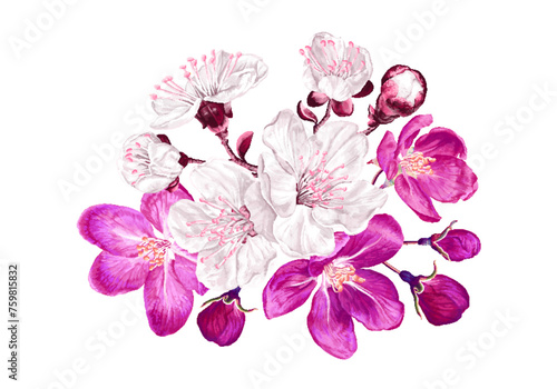 Botanical flower arrangement spring plants. Pink and white flowers on the branches of the first flowering trees in spring. Apricot, apple, cherry or cherry blossoms. Detailed hand drawn illustration