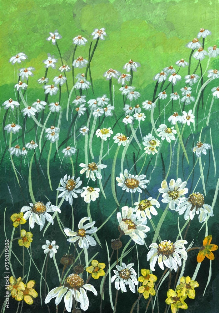 A hand-drawn gouache field with white daisies and yellow flowers. a summer village landscape.