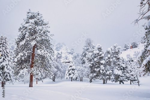 Snowy landscape in Colorado Springs