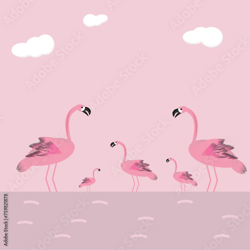 Pink flamingos resting in the lake