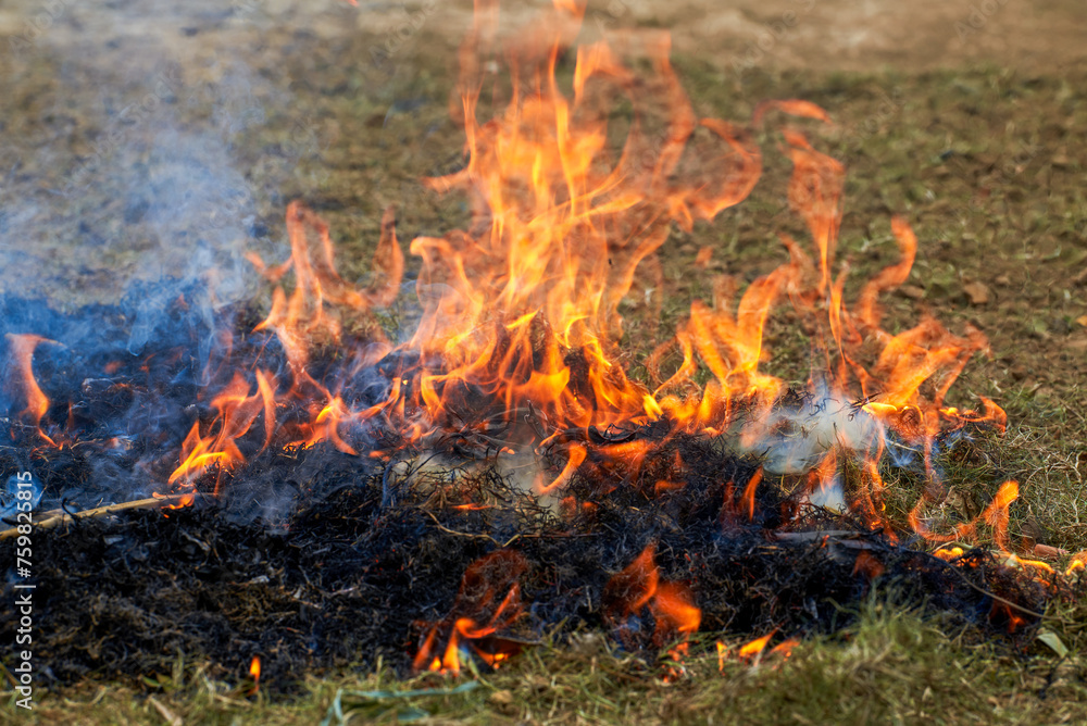 A pile of burning straw outdoors in the countryside A pile of burning straw outdoors in the countryside