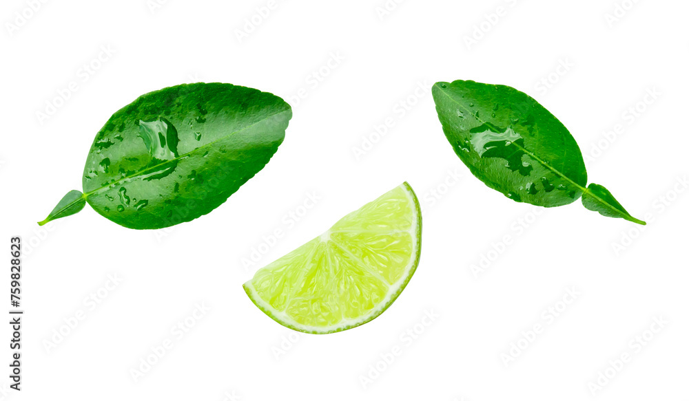 Top view set of green lemon fruit in slice or quarter shape with leaves isolated with clipping path in png file format Top view set of green lemon fruit in slice or quarter shape with leaves isolated with clipping path in png file format