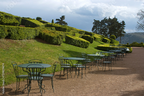 Buxus sempevirens, Buis,  Les jardins suspendus, chateau de Marqueyssac, 24, Dordogne, France photo