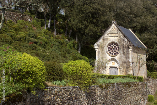 Buxus sempevirens, Buis,  Les jardins suspendus, chateau de Marqueyssac, 24, Dordogne, France