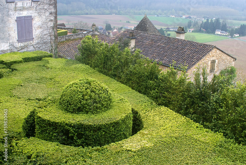 Buxus sempevirens, Buis,  Les jardins suspendus, chateau de Marqueyssac, 24, Dordogne, France photo