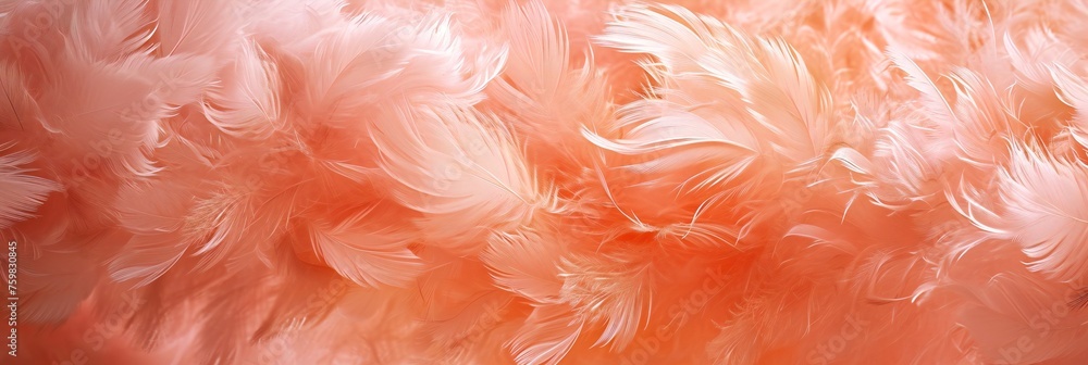 Soft Feather Texture Close-Up Peach Tones Soft Feather Texture Close-Up Peach Tones
