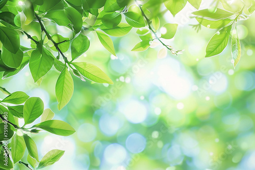 Vibrant Spring Leaves Background with Fresh Green Foliage Under Sunlight