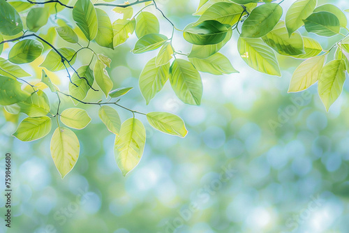 Vibrant Spring Leaves Background with Fresh Green Foliage Under Sunlight