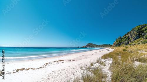 Beach and beautiful tropical sea. Panoramic picture  summer landscape  place for logo  text  banner concept  copy space