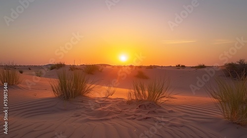 Sunset in the desert, Sunset in the desert in Dubai UAE