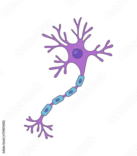 Vector Illustration of neuron. Doodle style