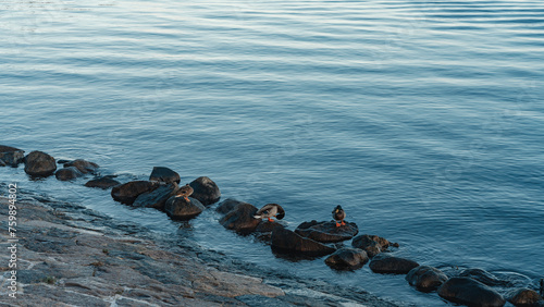 Photography When in Denmark