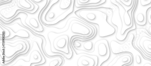 3d render, abstract white paper background. Paper cut vector art background banner texture. multi layer cutout geometric pattern on vector, Abstract soft white background with waves.