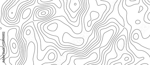 abstract white wave paper curved reliefs background. Topography map pattern, Geographic curved, vector illustration. seamless textrue, vintage waves. Panorama view multicolor wave curve line.