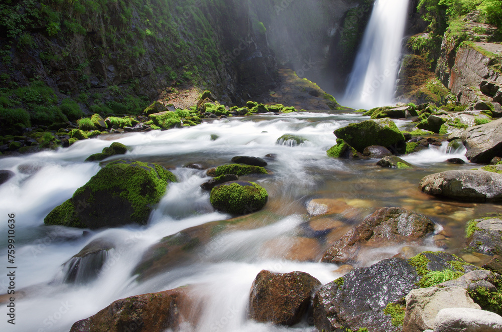 Fototapeta premium 秋保大滝【宮城県仙台市】
