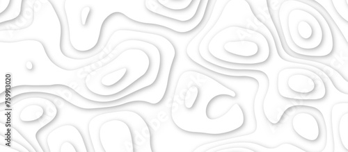 3d render, abstract white paper background. Paper cut vector art background banner texture. multi layer cutout geometric pattern on vector, Abstract soft white background with waves.