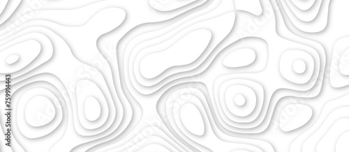 3d render, abstract white paper background. Paper cut vector art background banner texture. multi layer cutout geometric pattern on vector, Abstract soft white background with waves.