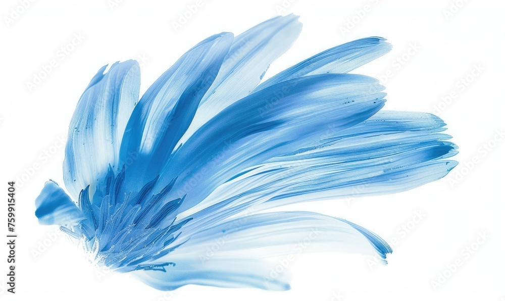 Fototapeta premium Light blue daisy flower petals on white background.