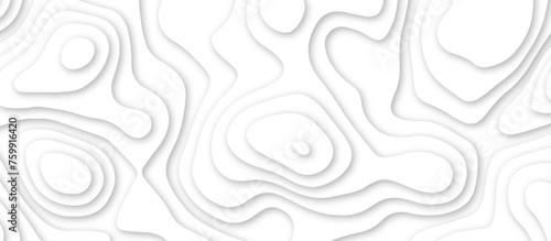 3d render, abstract white paper background. Paper cut vector art background banner texture. multi layer cutout geometric pattern on vector, Abstract soft white background with waves.
