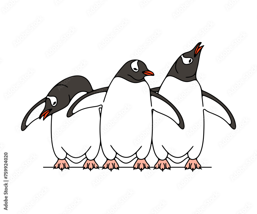 Fototapeta premium Subantarctic penguin or gentoo penguins. Animal, bird, avian, feathered, antarctica and nature, illustration