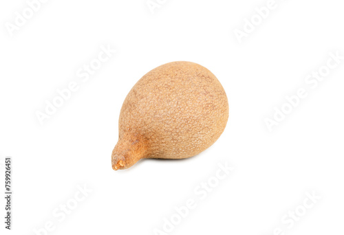 Small round tamarind fruit in shell isolated on white background