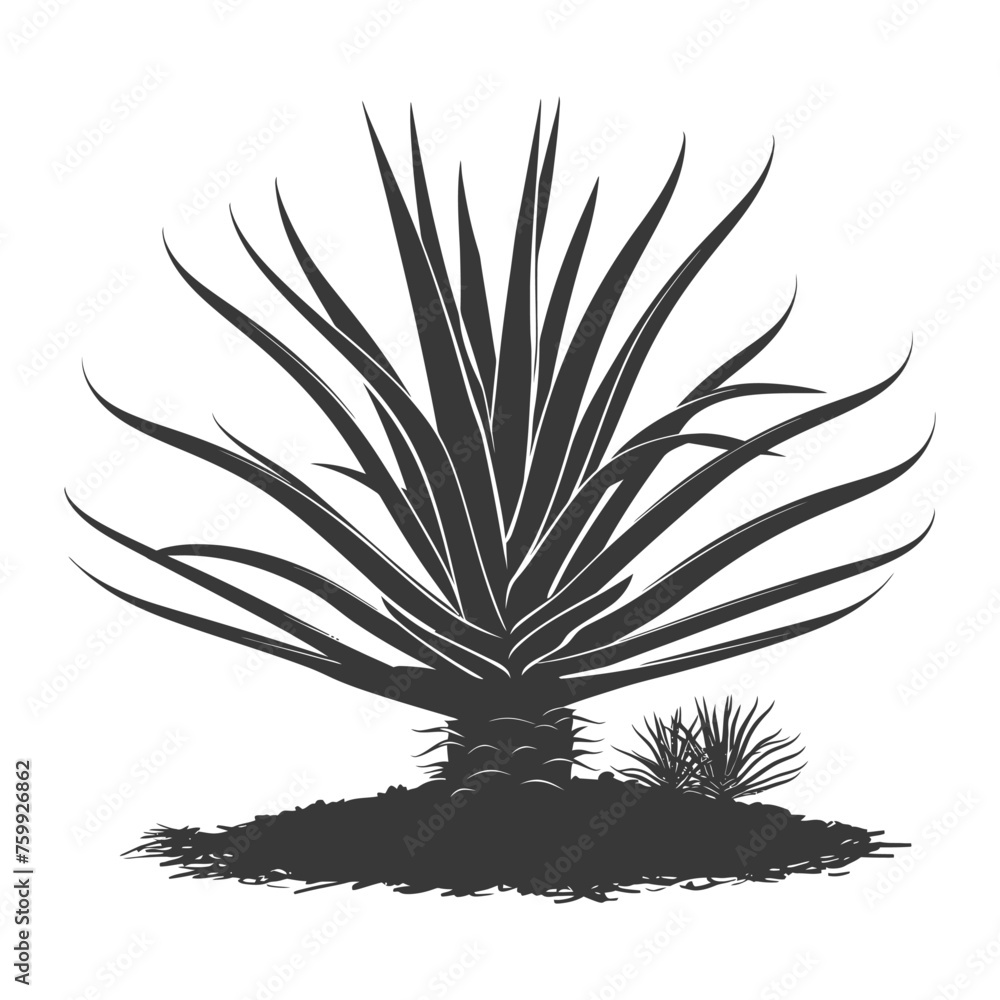 Silhouette Aloe vera tree in the ground black color only Silhouette Aloe vera tree in the ground black color only