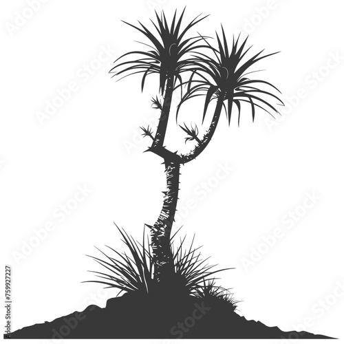 Silhouette Aloe vera tree in the ground black color only