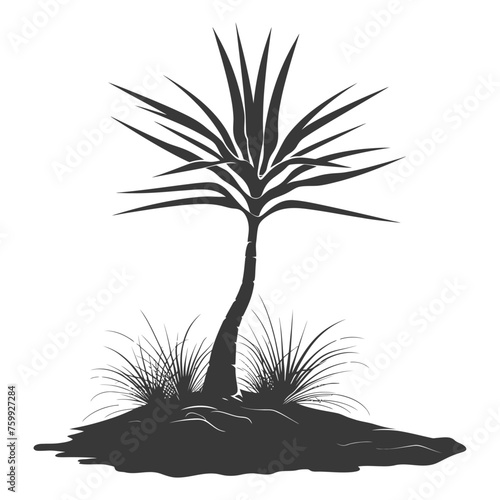 Silhouette Aloe vera tree in the ground black color only