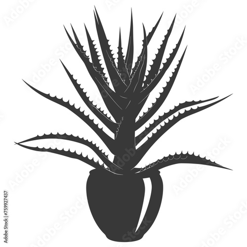 Silhouette Aloe vera tree in the vase black color only