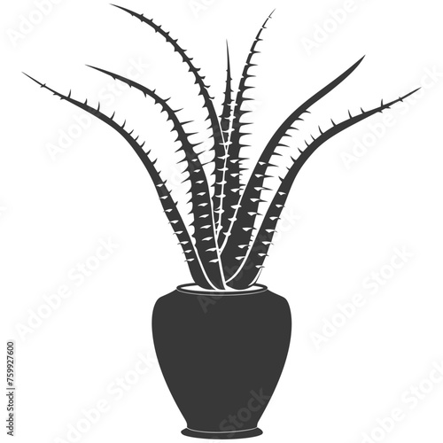Silhouette Aloe vera tree in the vase black color only