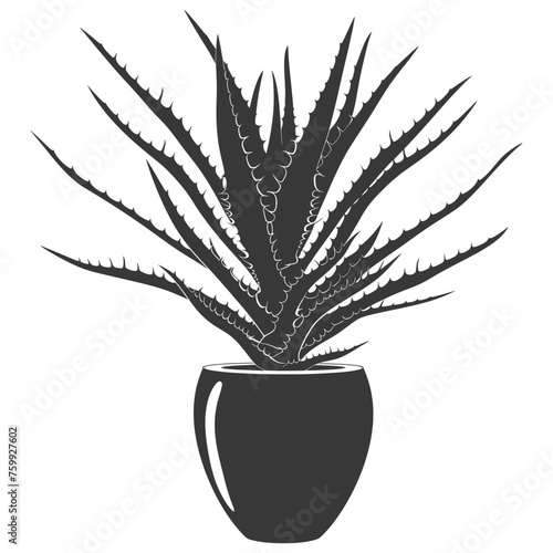 Silhouette Aloe vera tree in the vase black color only