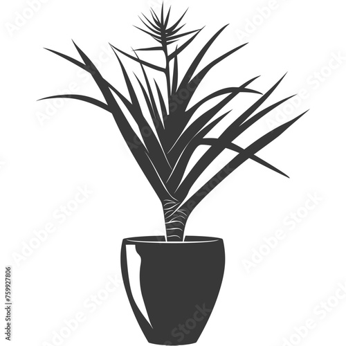 Silhouette Aloe vera tree in the vase black color only