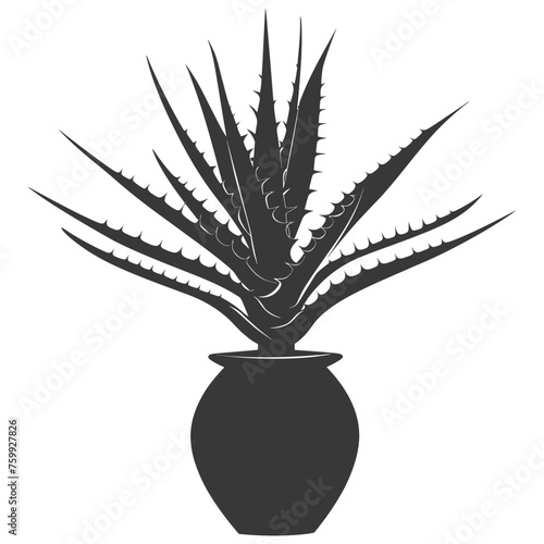 Silhouette Aloe vera tree in the vase black color only