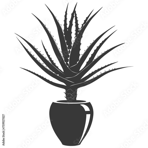 Silhouette Aloe vera tree in the vase black color only