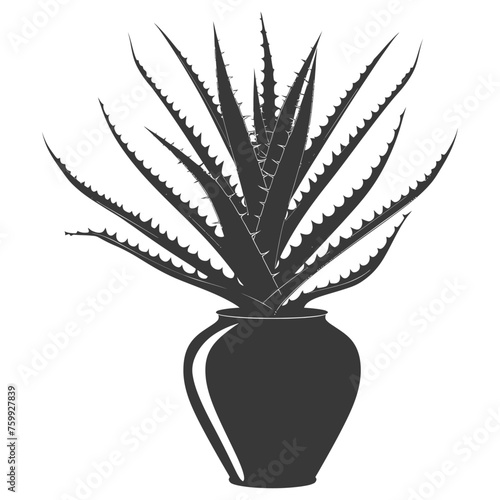 Silhouette Aloe vera tree in the vase black color only