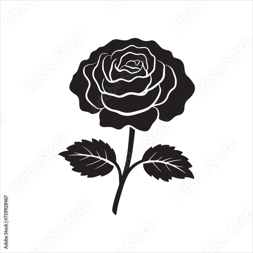 rose silhouettes