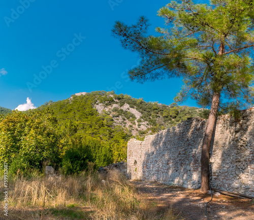 Picturesque ruins of the ancient city of Olympos, in Turkey. Ruins of the ancient city of Olympos near the village of Cirali in Turkey.