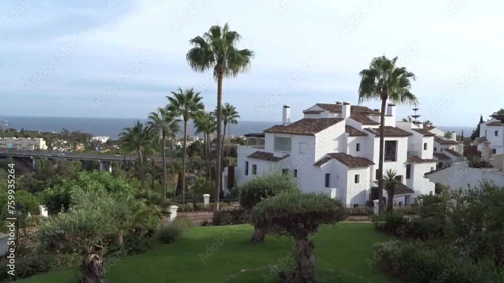 Spain Seaside Resort Private Apartments White Palm Trees Spain Seaside Resort Private Apartments White Palm Trees