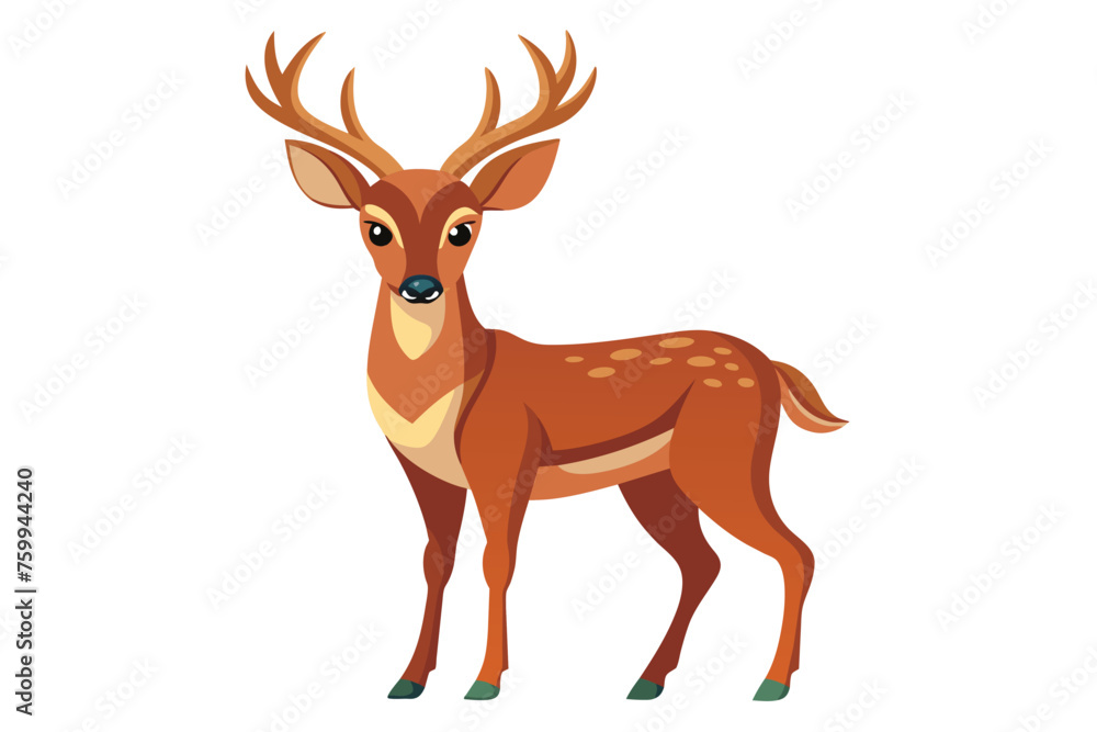 deer on a clean vector design