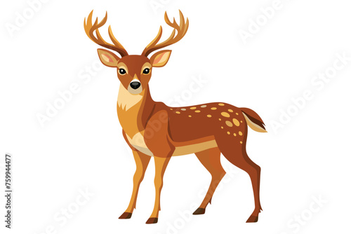 Fototapeta Naklejka Na Ścianę i Meble -  deer on a clean vector design