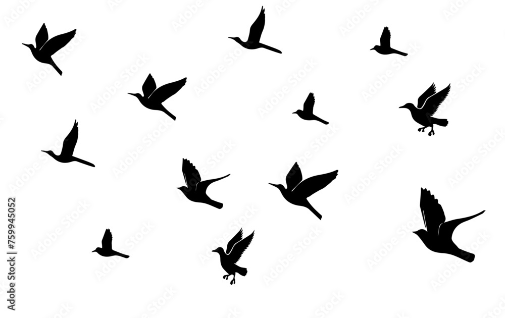 flock of flying birds silhouette flock of flying birds silhouette