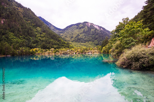 Indigo lake in Jiuzhaigou  Sichuan  China