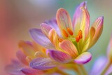 Close up of a blooming spring flower in a garden, wallpaper background