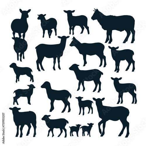 flat design lamb silhouette collection