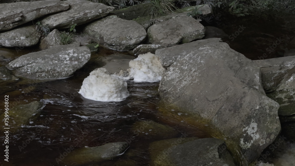 Swirling River Foam Over Large Rock in Forested Area