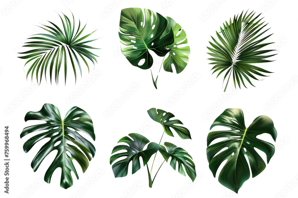 A bunch of tropical plant leaves on a transparent background. Fresh green leaves for a natural product themed design material. Created with Generative AI.